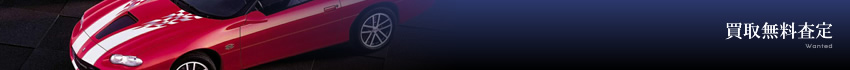 A 斳
